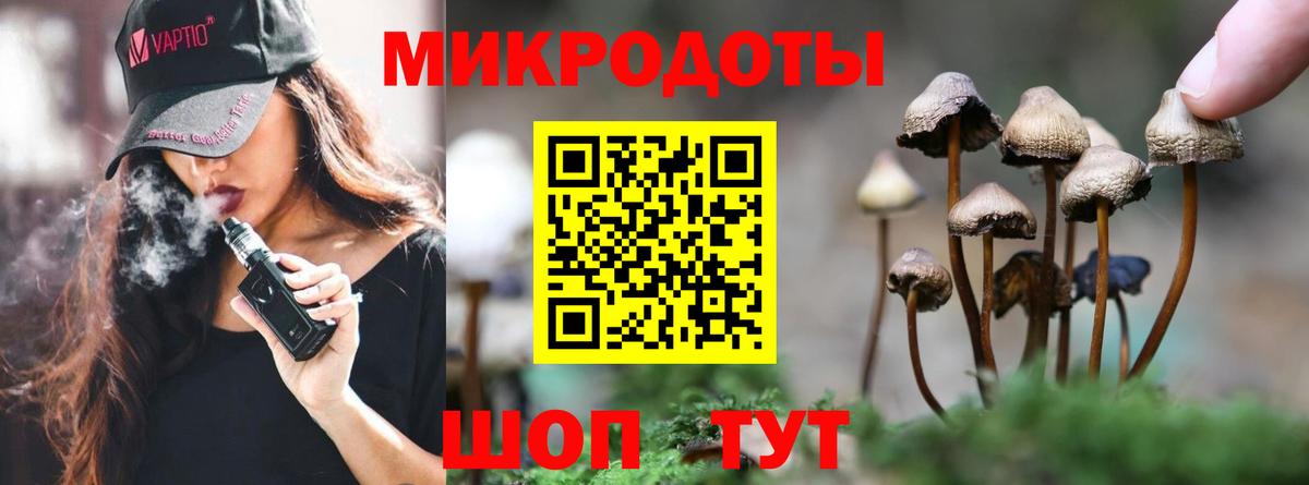 Галлюциногенные грибы Psilocybe  где можно купить наркотик  Горячий Ключ  Вход с VPN 